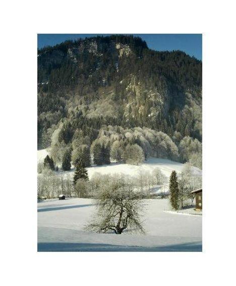 Falkenstein-Wohnung-4-Haus-B Oberstdorf Eksteriør billede